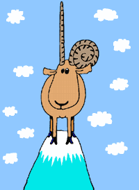 mouton 21