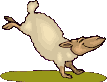 mouton 22
