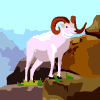 mouton 24