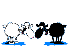 mouton 26