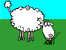 mouton 33