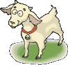 mouton 35
