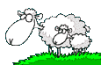 mouton 36