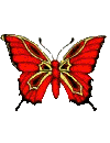papillon 20