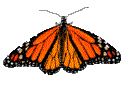 papillon 25