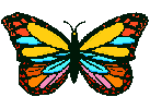 papillon 35