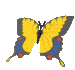papillon 36
