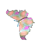 papillon 44