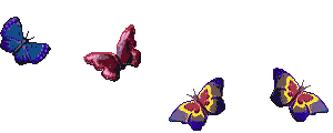 papillon 52