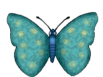 papillon 55