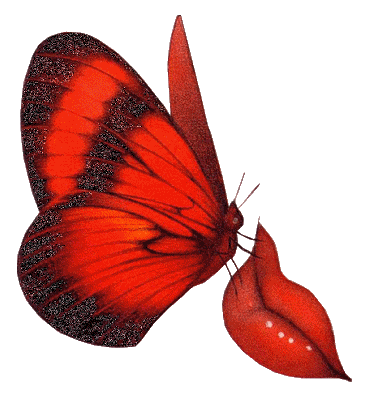 papillon 62
