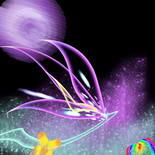 papillon 65