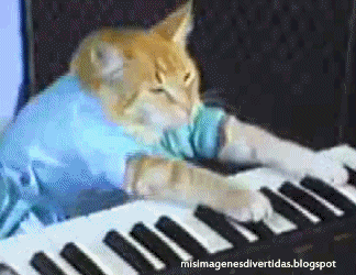 pianiste 26