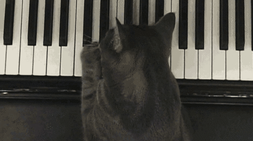 pianiste 32