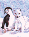 pingouin 01