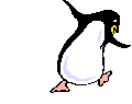 pingouin 06