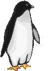 pingouin 07