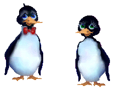 pingouin 17
