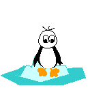 pingouin 18