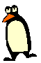 pingouin 24