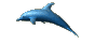 poisson 17