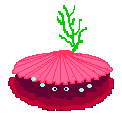 poisson 20