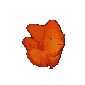 poisson 27
