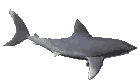 poisson 44