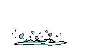 poisson 48