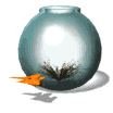 poisson 49