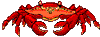 poisson 53