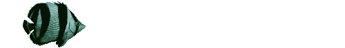 poisson 62