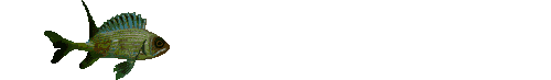 poisson 68