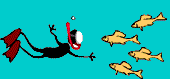 poisson 72