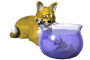 poisson 74