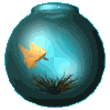 poisson 88