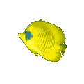 poisson 97