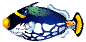poisson 99