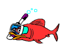 poisson 102