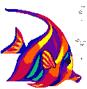 poisson 105