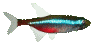 poisson 108