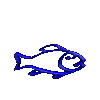 poisson 113