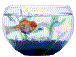 poisson 116