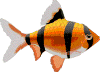 poisson 122