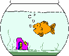 poisson 124