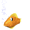 poisson 126