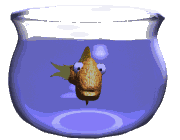 poisson 127