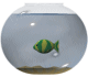 poisson 129