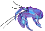 poisson 161