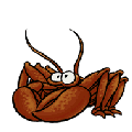 poisson 171